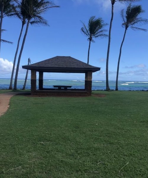 IMG_3469-scaled-e1652215216318