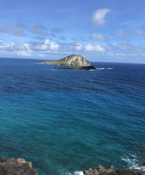 IMG_3875-scaled-e1652215191659